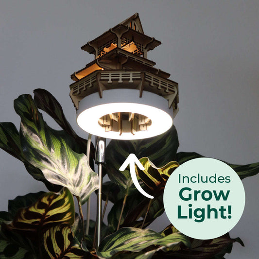 Sunrise Terrace + Grow Light CLOUDANIMESTUDIO