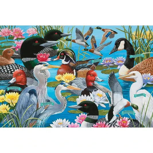 Water Birds 36 Piece Floor Jigsaw Puzzle Cobble Hill CLOUDANIMESTUDIO