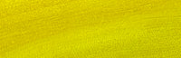 13 - Aureolin (Shiny Yellow) Water Activated Graphic Liner