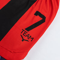 Team Y