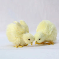 4 PCs Set Realistic Baby Chicks Figurines, Farm Chickens Figurine, Miniature Toy - CloudAnimeStudio