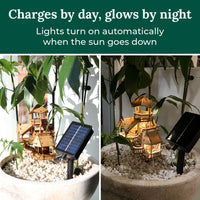 Solar LED Lights