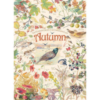 Autumn Country Diary 1000 Piece Jigsaw Puzzle Cobble Hill CLOUDANIMESTUDIO