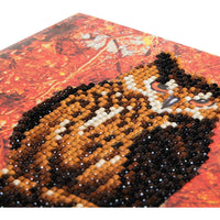 Autumn Owl Crystal Art Card Kit Craft Buddy