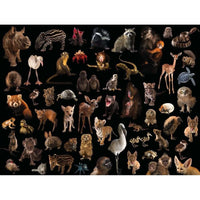 Baby Animals National Geographic Photo Ark 500 Piece Jigsaw Puzzle NYPC CLOUDANIMESTUDIO