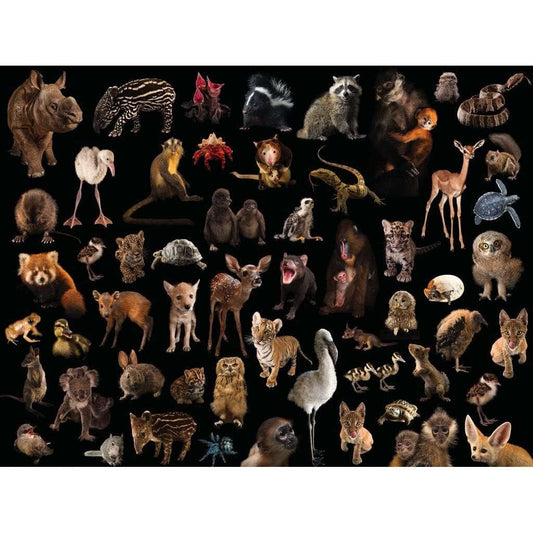 Baby Animals National Geographic Photo Ark 500 Piece Jigsaw Puzzle NYPC CLOUDANIMESTUDIO