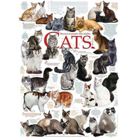 Cat Quotes 1000 Piece Jigsaw Puzzle Cobble Hill CLOUDANIMESTUDIO