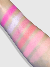 Cattitude palette CLOUDANIMESTUDIO