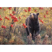 Den Dreams 500 Piece Jigsaw Puzzle Cobble Hill CLOUDANIMESTUDIO