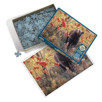 Den Dreams 500 Piece Jigsaw Puzzle Cobble Hill CLOUDANIMESTUDIO
