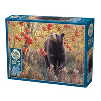 Den Dreams 500 Piece Jigsaw Puzzle Cobble Hill CLOUDANIMESTUDIO
