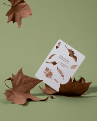 Eastern Forest Playing Cards CLOUDANIMESTUDIO