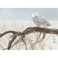 Fallen Willow - Snowy Owl 500 Piece Jigsaw Puzzle Cobble Hill CLOUDANIMESTUDIO