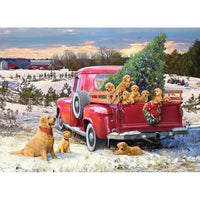 Family Outing 1000 Piece Jigsaw Puzzle Cobble Hill CLOUDANIMESTUDIO