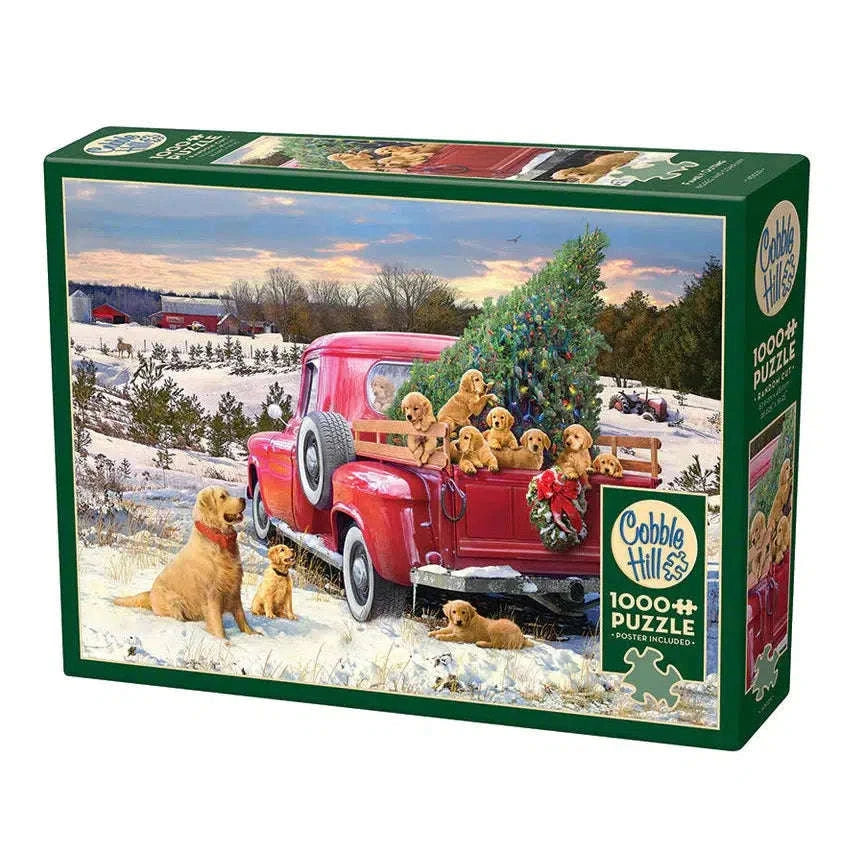 Family Outing 1000 Piece Jigsaw Puzzle Cobble Hill CLOUDANIMESTUDIO