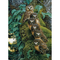 Family Tree 1000 Piece Jigsaw Puzzle Cobble Hill