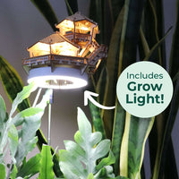 Island Cabana + Grow Light CLOUDANIMESTUDIO