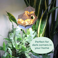 Island Cabana + Grow Light CLOUDANIMESTUDIO