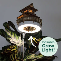 Sunrise Terrace + Grow Light CLOUDANIMESTUDIO