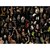 Greatest Hits National Geographic Photo Ark 1000 Piece Jigsaw Puzzle NYPC