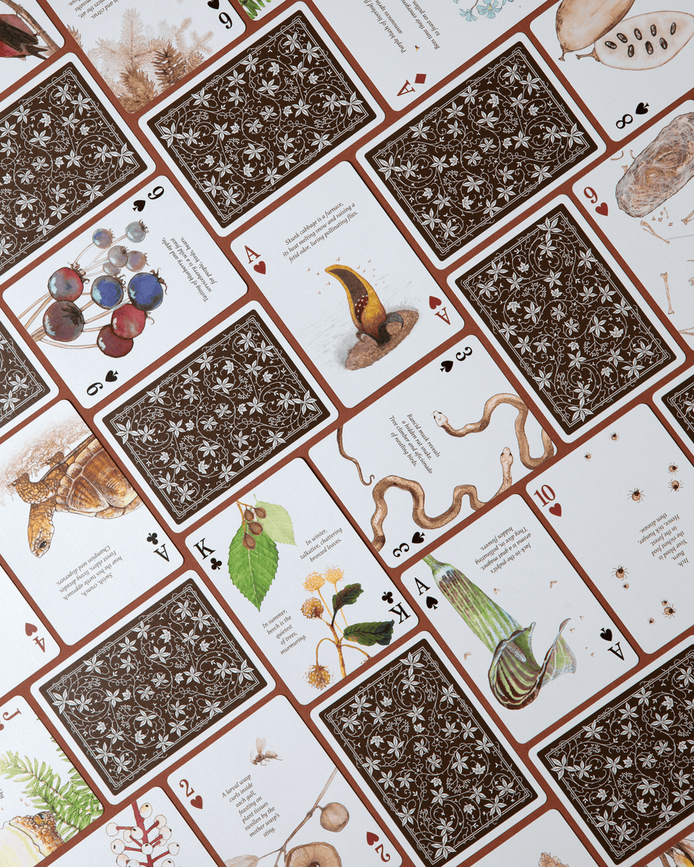 Eastern Forest Playing Cards CLOUDANIMESTUDIO