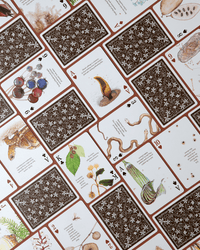 Eastern Forest Playing Cards CLOUDANIMESTUDIO