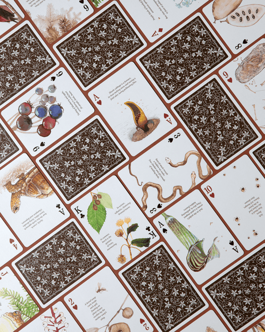 Eastern Forest Playing Cards CLOUDANIMESTUDIO