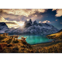 Guanacos 1000 Piece Jigsaw Puzzle Heye CLOUDANIMESTUDIO