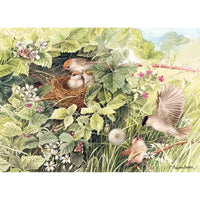 Hidden Nest 1000 Piece Jigsaw Puzzle Cobble Hill