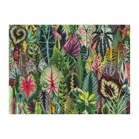 Houseplant Jungle 1000 Piece Jigsaw Puzzle Galison
