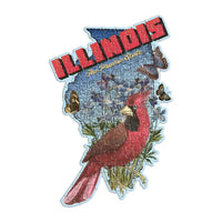 Illinois 100 Piece Mini Shaped Jigsaw Puzzle Galison CLOUDANIMESTUDIO