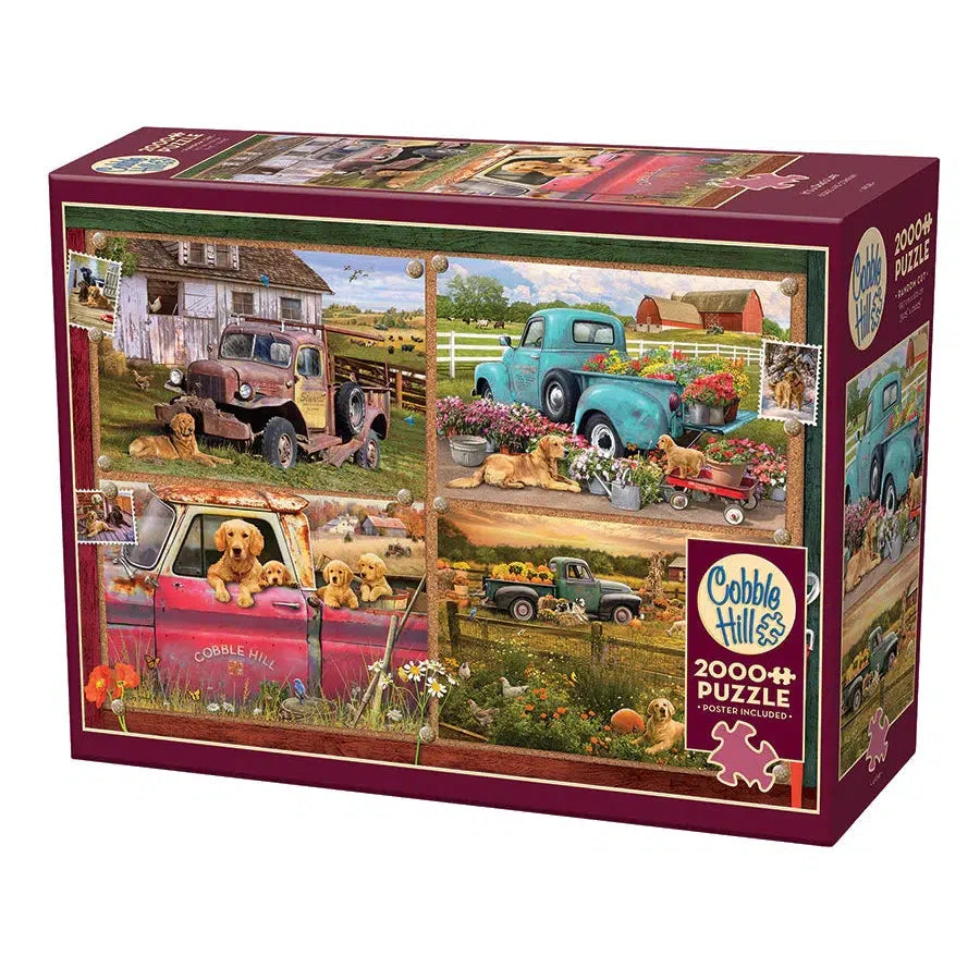 It's a Dog's Life 2000 Piece Jigsaw Puzzle Cobble Hill