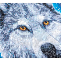 Moonlight Wolf Crystal Art Framed Canvas Kit Craft Buddy