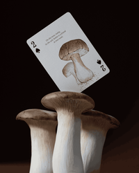 Eastern Forest Playing Cards CLOUDANIMESTUDIO