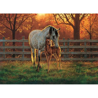 Quiet Time 500 Piece Jigsaw Puzzle Cobble Hill CLOUDANIMESTUDIO