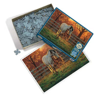Quiet Time 500 Piece Jigsaw Puzzle Cobble Hill CLOUDANIMESTUDIO