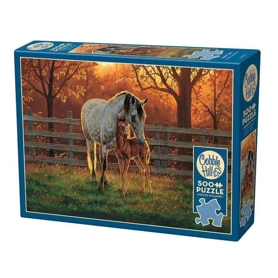 Quiet Time 500 Piece Jigsaw Puzzle Cobble Hill CLOUDANIMESTUDIO