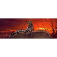 Red Dawn 2000 Piece Panoramic Jigsaw Puzzle Heye CLOUDANIMESTUDIO