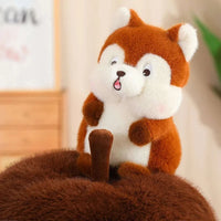 Surprise Squirrel Acorn Plushies CLOUDANIMESTUDIO