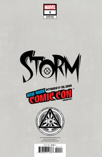 [Foil] Storm #1 Unknown Comics David Nakayama Exclusive Virgin Nycc 2024 Var (10/23/2024) CLOUDANIMESTUDIO