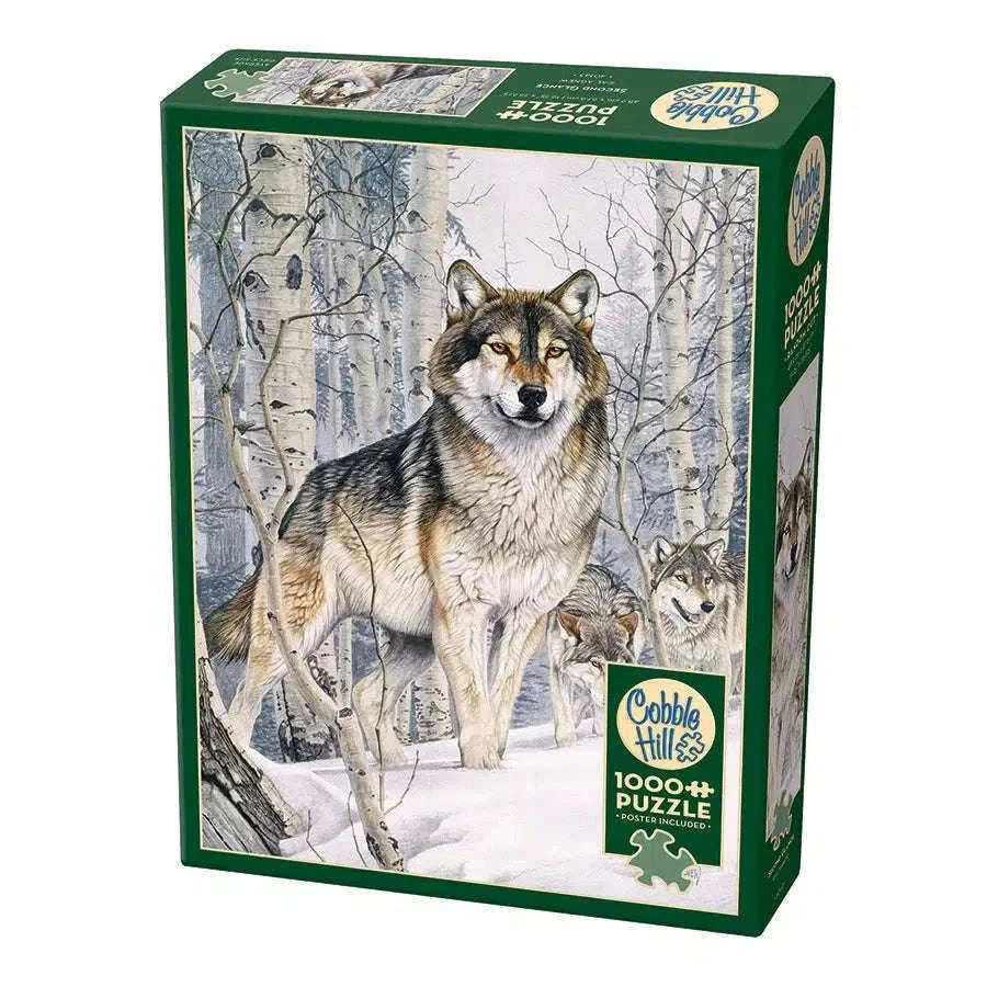 Second Glance 1000 Piece Jigsaw Puzzle Cobble Hill CLOUDANIMESTUDIO