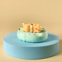 Sleeping Pokemon Anime Figurines, Pikachu Bulbasaur Psyduck Charmander - CloudAnimeStudio