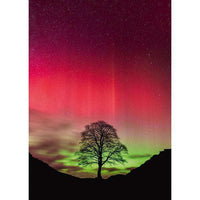 Sycamore Gap Power of Nature 1000 Piece Jigsaw Puzzle Heye CLOUDANIMESTUDIO