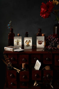 Cabinetarium Playing Cards CLOUDANIMESTUDIO