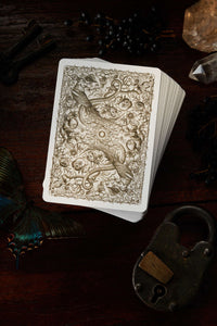 Cabinetarium Playing Cards CLOUDANIMESTUDIO