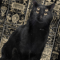 Black Cat T-Shirt