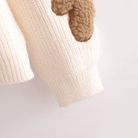 Teddy Bear Embroidered Sweater
