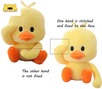 Duck Plushies